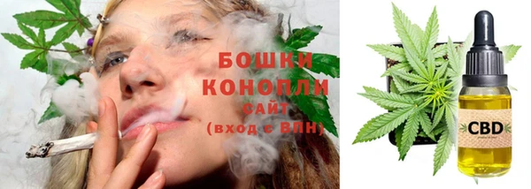 кокс Арсеньев