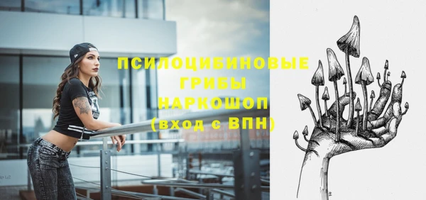 кокс Арсеньев