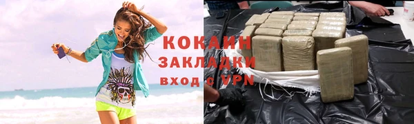 кокс Арсеньев