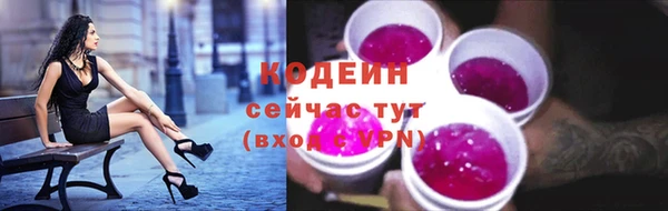 кокс Арсеньев