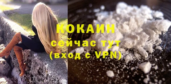 кокс Арсеньев