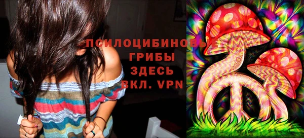метадон Алексеевка