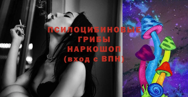 кокс Арсеньев