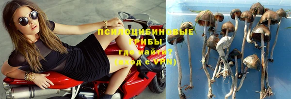 кокс Арсеньев